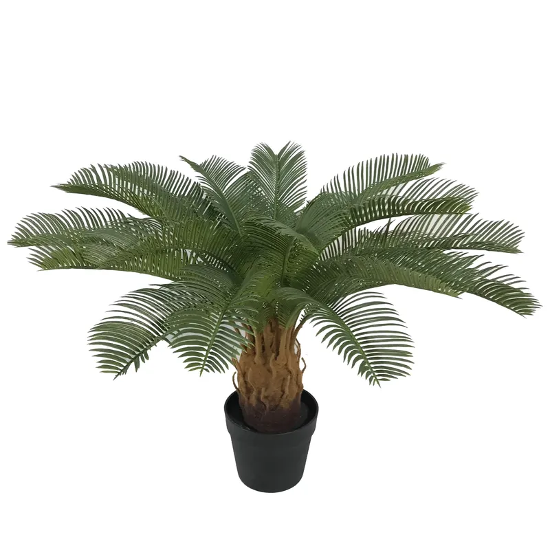 Künstliche Cycas Sago Bonsai-P – Home Decor Handicraft Bewertung und Preis