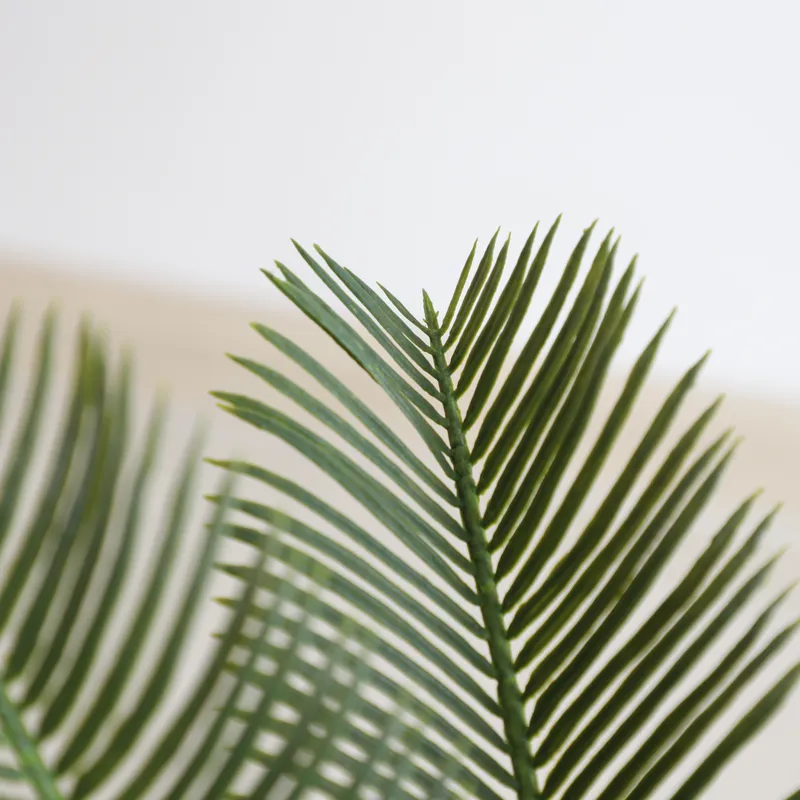 Künstliche Cycas Sago Bonsai-P – Home Decor Handicraft Bewertung und Preis