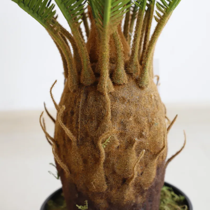 Künstliche Cycas Sago Bonsai-P – Home Decor Handicraft Bewertung und Preis
