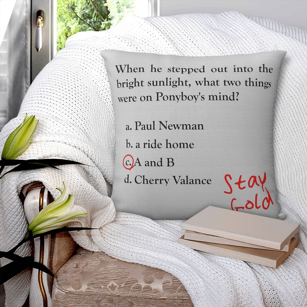 Outsiders Ponyboy Quiz Questio – Home Decor Quiz Bewertung und Preis