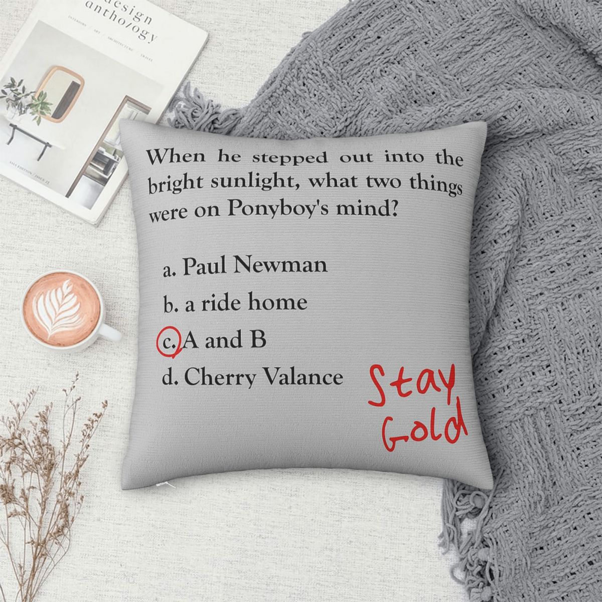 Outsiders Ponyboy Quiz Questio – Home Decor Quiz Bewertung und Preis