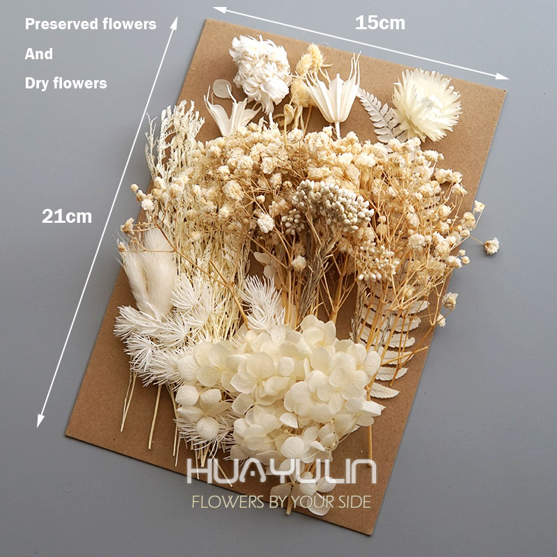 1 Packung künstliche Pflanzen, – Home Decor Handicraft Bewertung und Preis